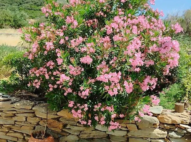 Stivari View بيت للعطل *