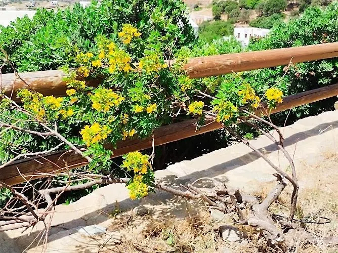 Stivari View بيت للعطل *