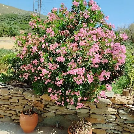 Stivari View Holiday home *